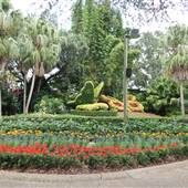 Busch Gardens - Bird Gardens