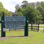 Lower Green Swamp Preserve