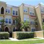 Davis Islands - Neighborhood