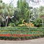 Busch Gardens - Bird Gardens