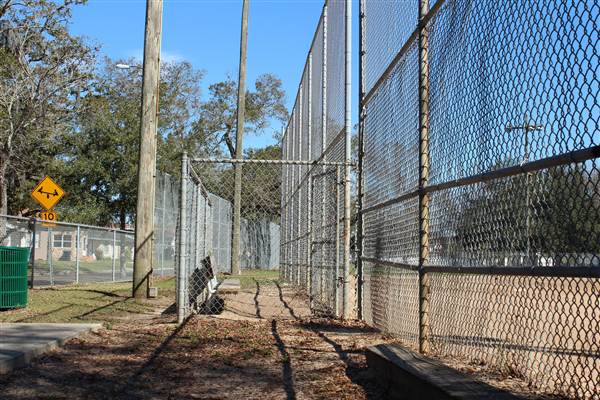 Lou Piniella Softball Field