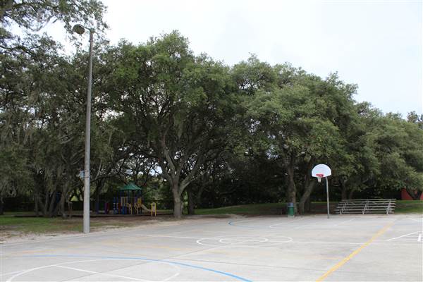Roy Haynes Park