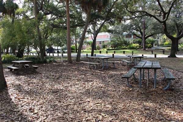 Fred Ball Park
