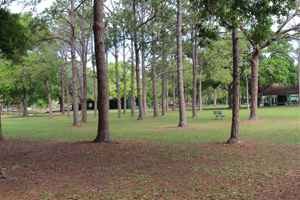 Al Lopez Park