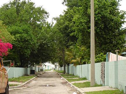 Urban Tampa