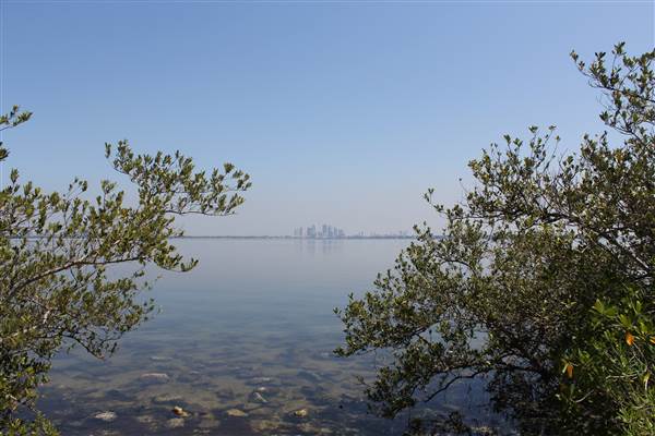 Ballast Point Park