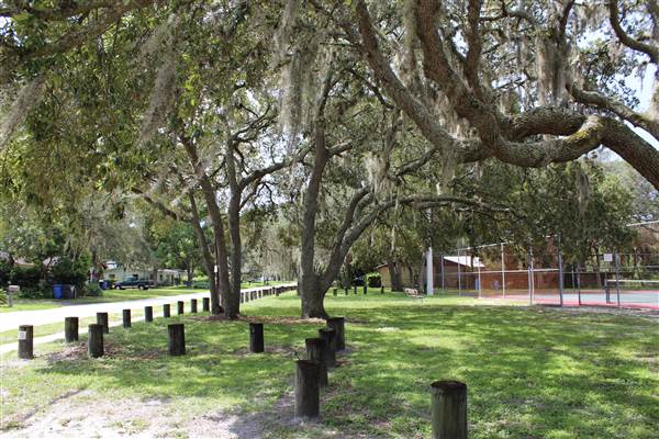 Roy Haynes Park