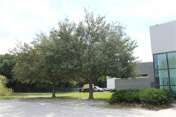 Tampa Police Department - District One