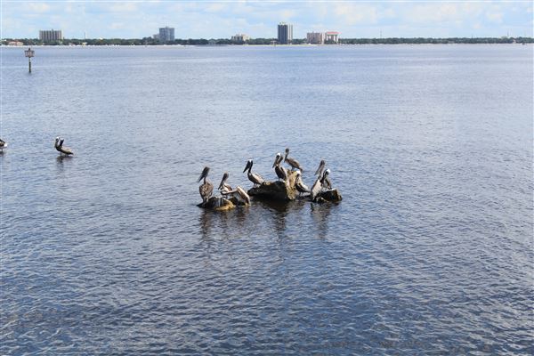 Ballast Point Park