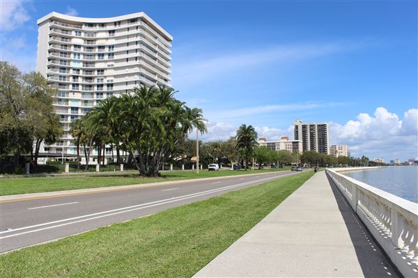 Bayshore Boulevard