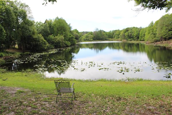 Al Lopez Park