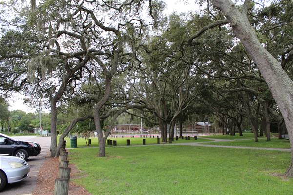 Roy Haynes Park