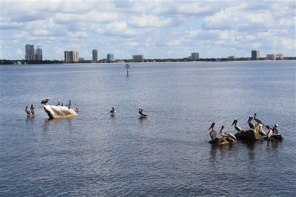 Ballast Point Park