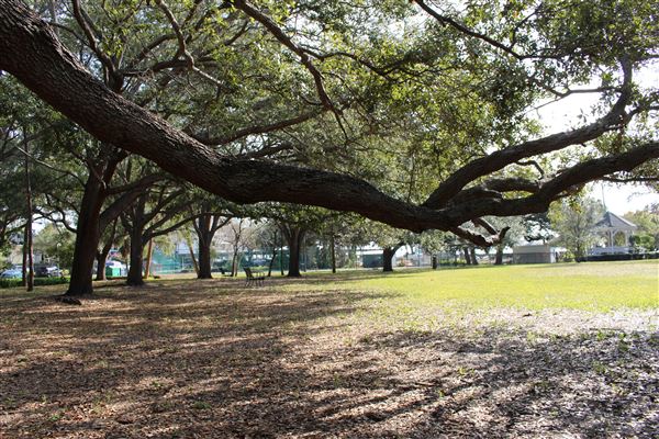 Fred Ball Park