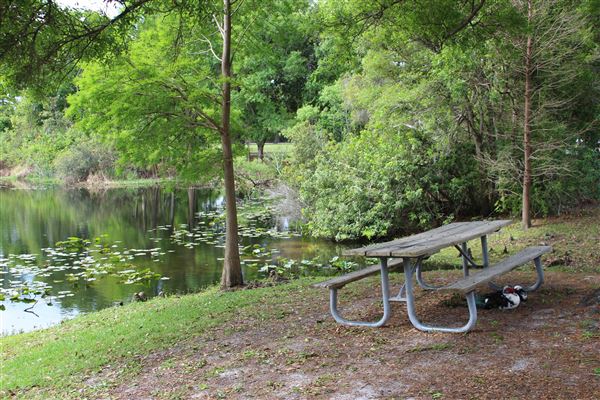 Al Lopez Park