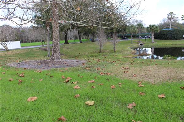 Compton Park