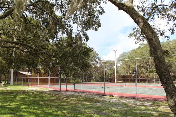 Roy Haynes Park