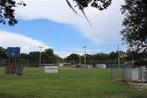 Roy Haynes Park