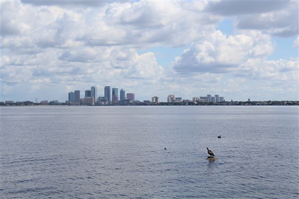Ballast Point Park