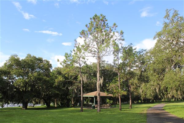 Rowlett Park