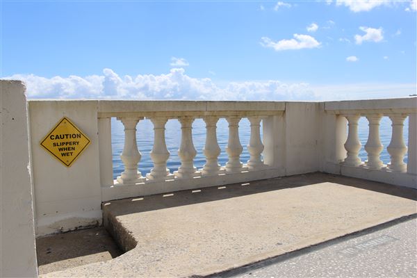 Bayshore Boulevard