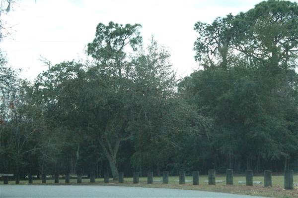 Rowlett Park