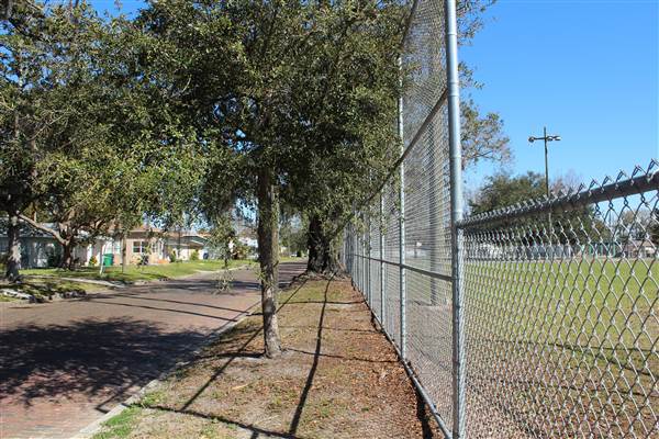 Lou Piniella Softball Field