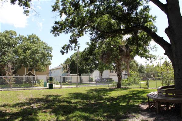 C. Broughton Williams Park