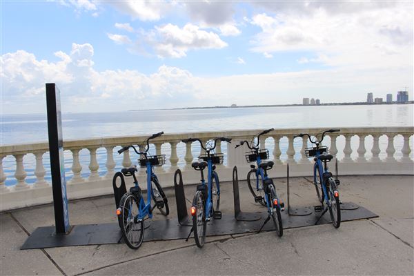 Bayshore Boulevard