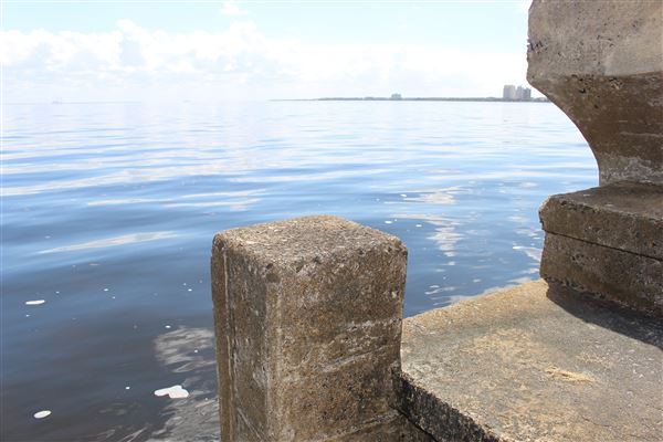 Bayshore Boulevard