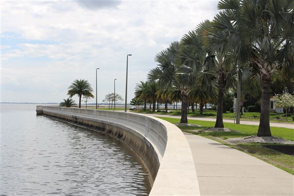 Bayshore Boulevard