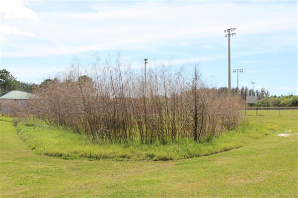Ed Radice Park
