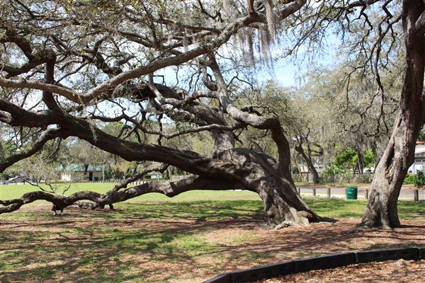 Duran Park