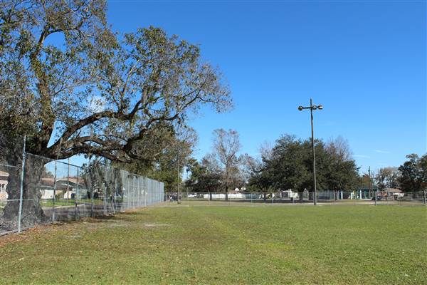Lou Piniella Softball Field