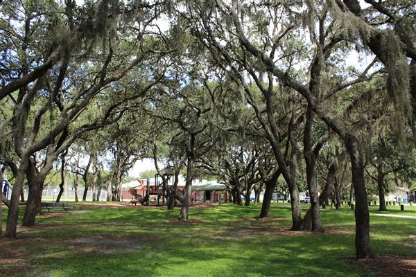 Roy Haynes Park