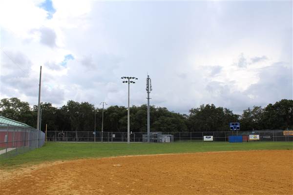 Roy Haynes Park