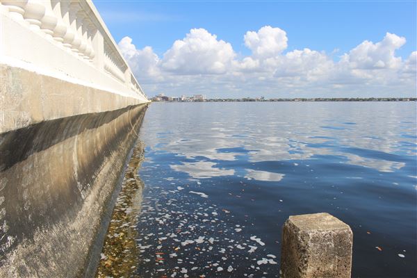 Bayshore Boulevard