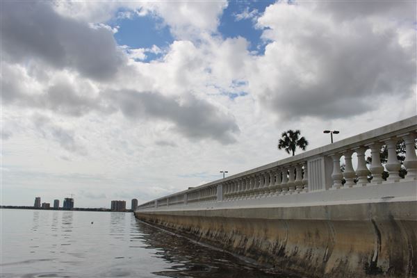 Bayshore Boulevard