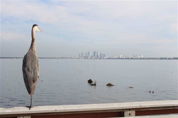 Ballast Point Park