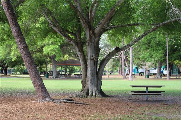 Al Lopez Park