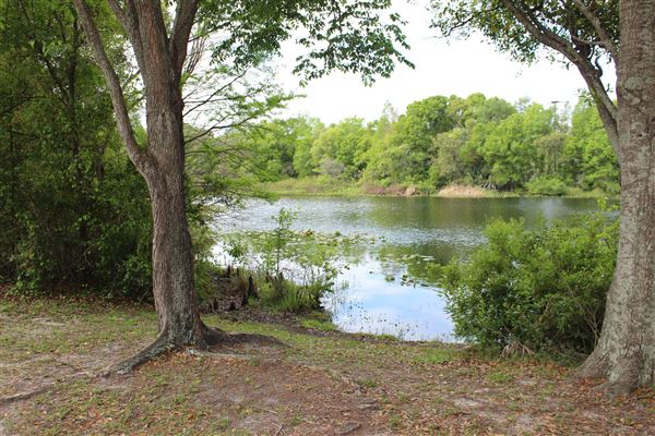 Al Lopez Park