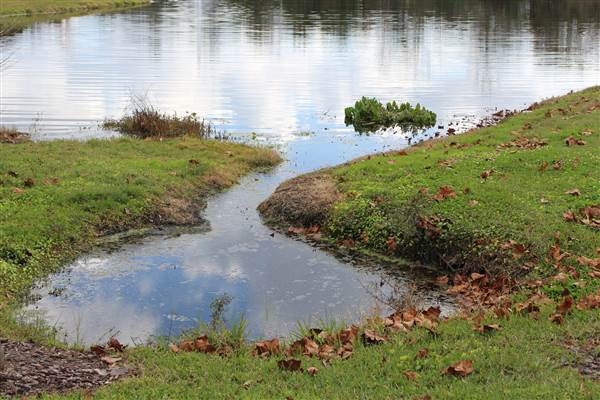 Compton Park