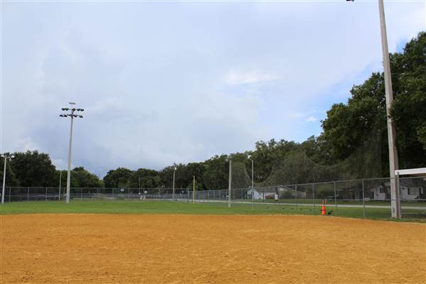Roy Haynes Park