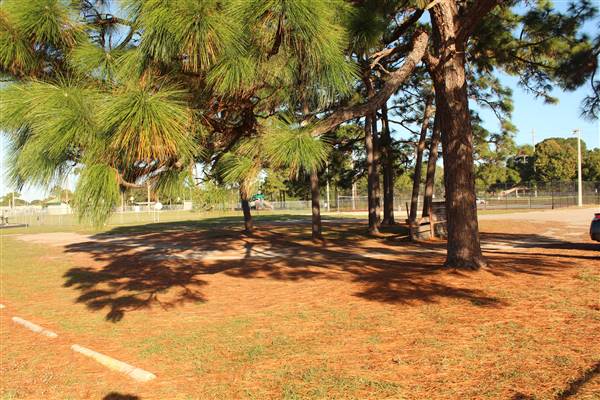 Alexander Park