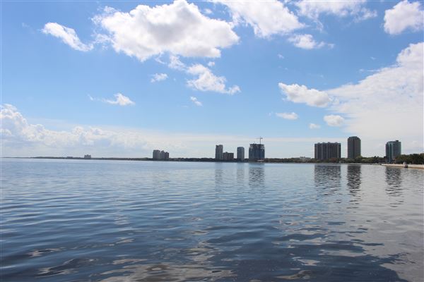 Bayshore Boulevard
