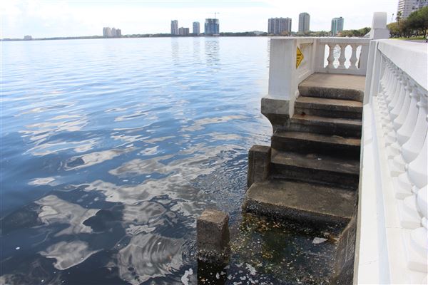 Bayshore Boulevard