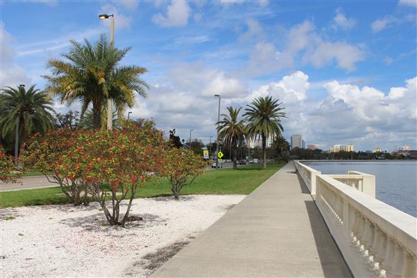 Bayshore Boulevard