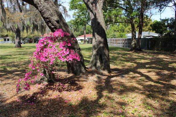 Duran Park