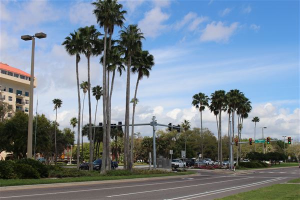 Bayshore Boulevard