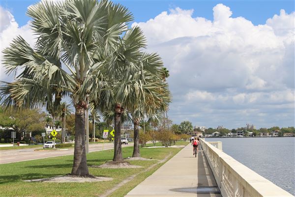 Bayshore Boulevard
